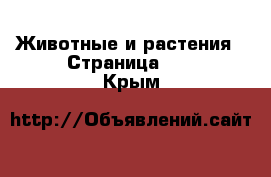  Животные и растения - Страница 25 . Крым